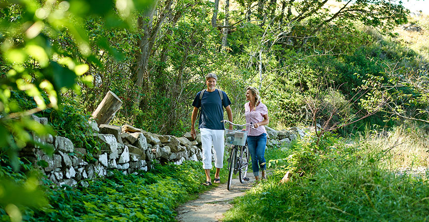 Bornholm Waldspaziergang