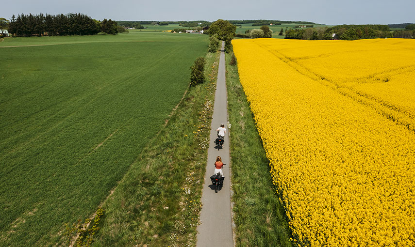 Campaya Horsens Fahrrad Tour