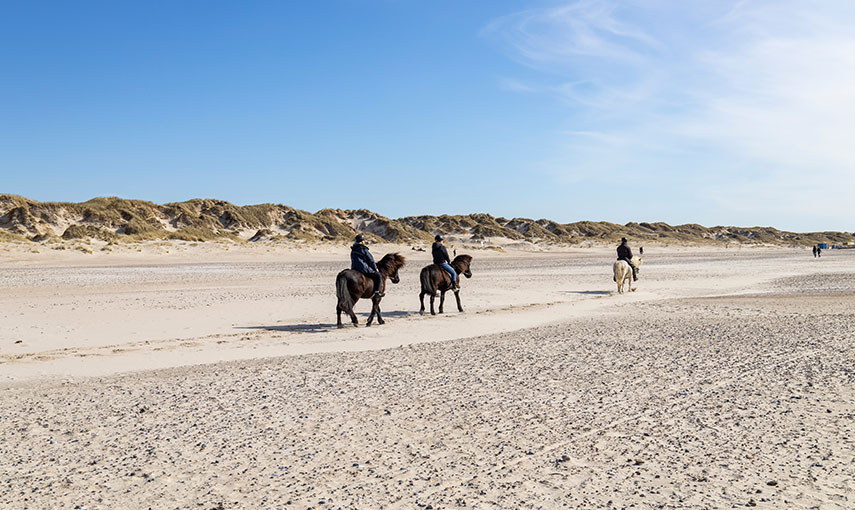 Houstrup Reiten am Strand