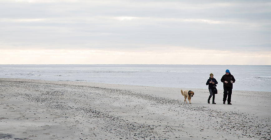 Hvide Sande mit dem Hund am Strand