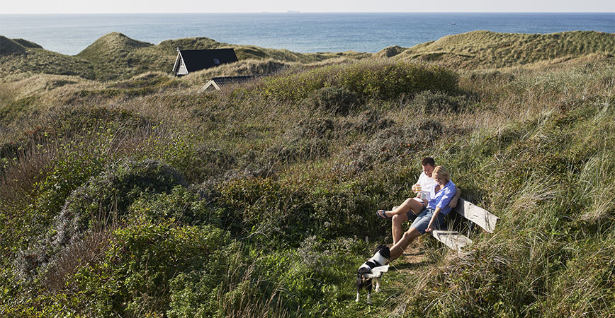 Dänemark mit dem Hund am Ferienhaus