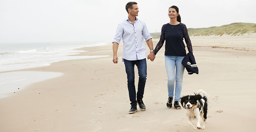 Dänemark mit dem Hund am Strand