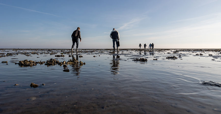 Rømø Wattwanderung