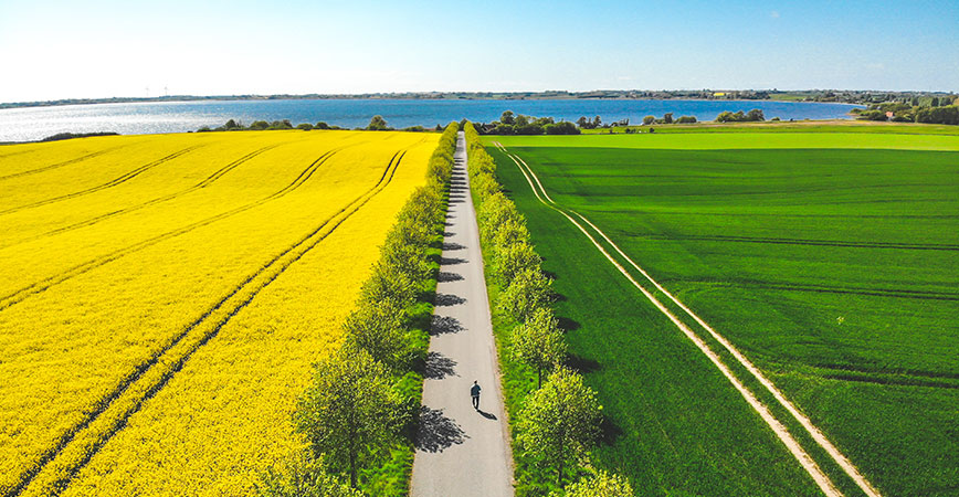 Seeland Landschaft mit Feldern